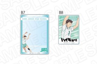 アニメハイキュー!! 硬質カードケースセット 及川 徹
 
2025年10月発売
で取扱中
