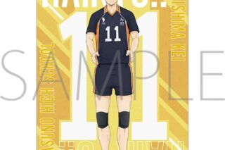 ハイキュー!! クリアファイル 月島蛍 みんなの背番号!
 
2025年10月4日発売