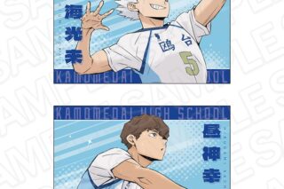 アニメハイキュー!! ポストカード2枚セット 鴎台高校
 アニメイトで
2025年10月発売