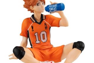 G.E.M.シリーズ ハイキュー!! てのひら日向翔陽 セカンドユニフォームver. 完成品フィギュア
 
2026年02月下旬発売