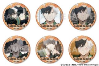 ウィンドブレイカー (ウィンブレ) 缶バッジセット～桜 遥がいっぱいセレクション～ 6個入り1BOX     ホビーストックで2024年12月発売