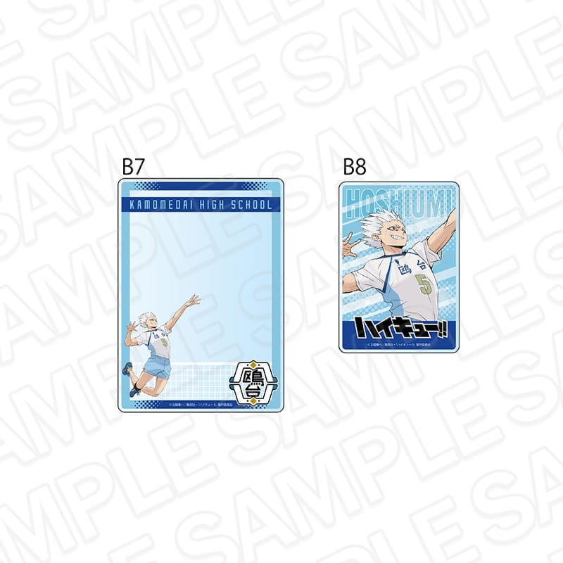 アニメハイキュー!! 硬質カードケースセット 星海光来
 
2025年10月発売
で取扱中