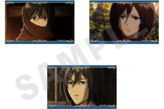TVアニメ『進撃の巨人』 ビジュアルカード3枚セットA(ミカサ)
 
2025年10月発売
で取扱中