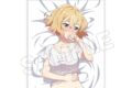 TV彼女、お借りします (かのかり) 描き下ろしB2タペストリー(夢オチ)/七海麻美
 
2023年04月発売
 アニメイトで取扱中