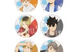 ハイキュー!! トレーディンググリッター缶バッジ プール掃除ver.【再販】
 アニメイトで
2025年10月下旬発売