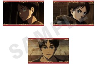 TVアニメ『進撃の巨人』 ビジュアルカード3枚セットA(エレン)
 
2025年10月発売