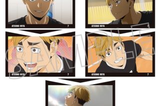 ハイキュー!! ポストカードセット/宮 侑
 アニメイトで
2025年9月26日発売