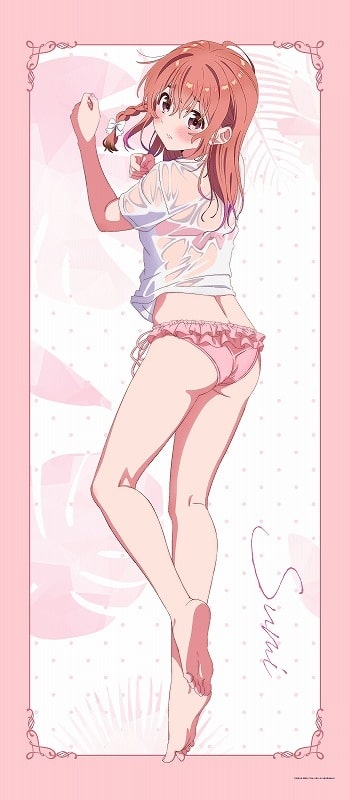 彼女、お借りします (かのかり) 第2期 [描き下ろし]BIGタペストリー 水着Ver.桜沢墨
 
2023年05月下旬発売
 アニメイトで取扱中