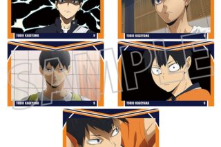 ハイキュー!! ポストカードセット/影山飛雄
 アニメイトで
2025年9月26日発売