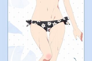 彼女、お借りします (かのかり) 第2期 [描き下ろし]BIGタペストリー 水着Ver.更科瑠夏
 
2023年05月下旬発売
 アニメイトで取扱中