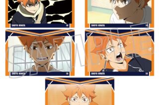 ハイキュー!! ポストカードセット/日向翔陽
 アニメイトで
2025年9月26日発売