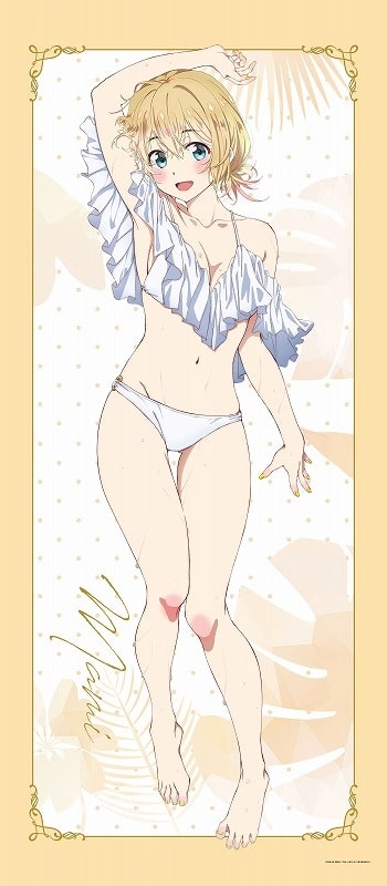 彼女、お借りします (かのかり) 第2期 [描き下ろし]BIGタペストリー 水着Ver.七海麻美
 
2023年05月下旬発売
 アニメイトで取扱中