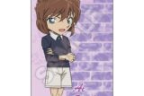 名探偵コナン ICカードステッカー 灰原哀【再販】
 
2025年10月発売