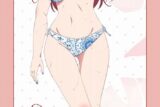 彼女、お借りします (かのかり) 第2期 [描き下ろし]BIGタペストリー 水着Ver.水原千鶴
 
2023年05月下旬発売
 アニメイトで取扱中