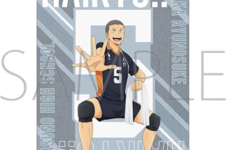 ハイキュー!! クリアファイル 田中龍之介 みんなの背番号!
 
2025年10月4日発売