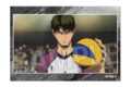 ハイキュー!! スタパネ ミニ vol.8 15
 アニメイトで
2025年10月発売