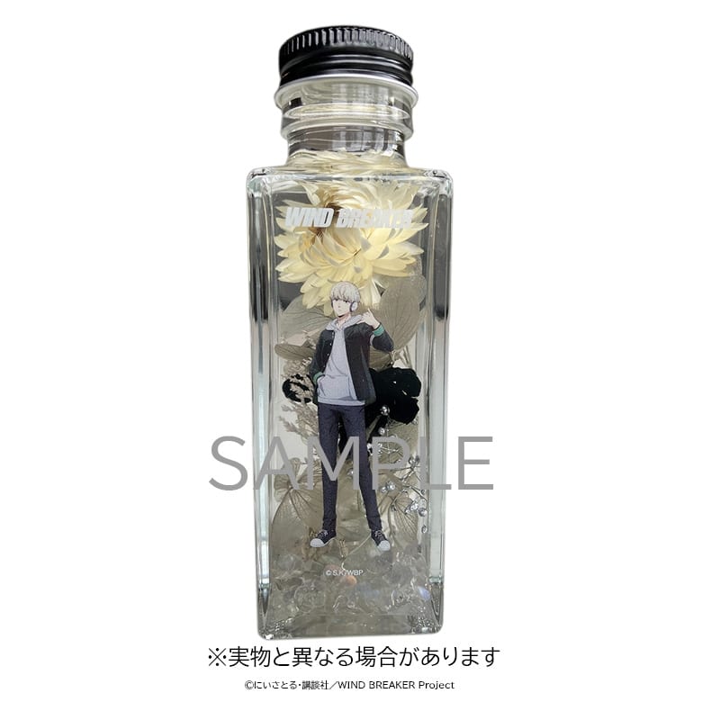ウィンドブレイカー (ウィンブレ) ハーバリウム(梶 蓮)
 
2025年11月発売