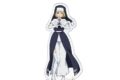 炎炎ノ消防隊  アクリルキャラスタンド アイリス
 
2025年10月下旬発売
 【アニメイト】