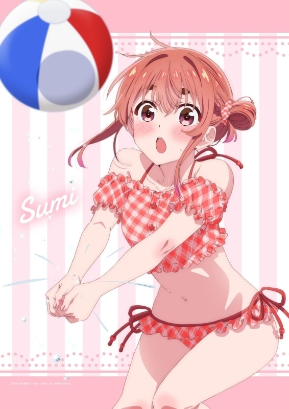 彼女、お借りします (かのかり)第3期 B2タペストリー 桜沢墨/ビーチバレー
 
2023年07月下旬発売
 アニメイトで取扱中