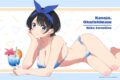 彼女、お借りします (かのかり)第3期 B2タペストリー 更科瑠夏/トロピカル
 
2023年07月下旬発売
 アニメイトで取扱中