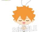 ハイキュー!! 座ぬい お昼寝ver. 日向翔陽
 アニメイトで
2025年10月発売