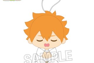 ハイキュー!! 座ぬい お昼寝ver. 日向翔陽
 アニメイトで
2025年10月発売