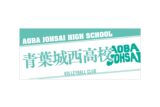 ハイキュー!! タオル 青葉城西高校
 
2025年12月下旬発売