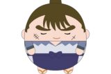 TVアニメ『忍たま乱太郎』 ふわコロりんMsize5 C:中在家長次
 
2025年12月発売