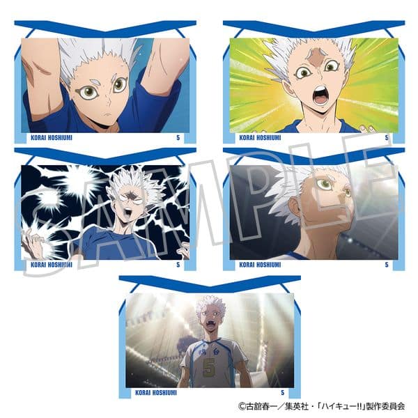 ハイキュー!! ポストカードセット 星海光来 キャラアニで
                                                2025年10月発売