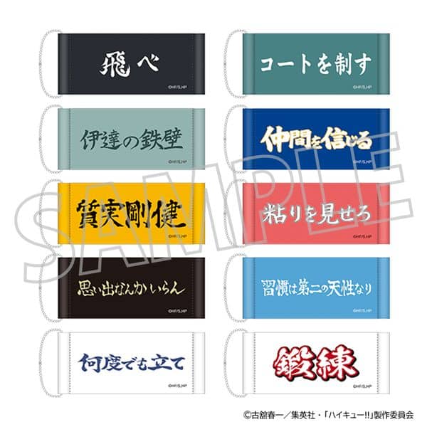 ハイキュー!! ミニタペストリーコレクション vol.1 【1BOX】 キャラアニで
                                                2025年11月発売
