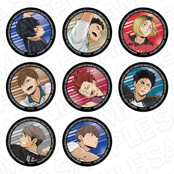 ハイキュー!! オーロラカンバッジ(ブラインド) B 【8個セット】 キャラアニで
                                                2025年11月発売