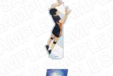 ハイキュー!! オーロラアクリルフィギュア 影山飛雄 キャラアニで
                                                2025年11月発売