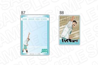 ハイキュー!! 硬質カードケースセット 岩泉一 キャラアニで
                                                2025年11月発売