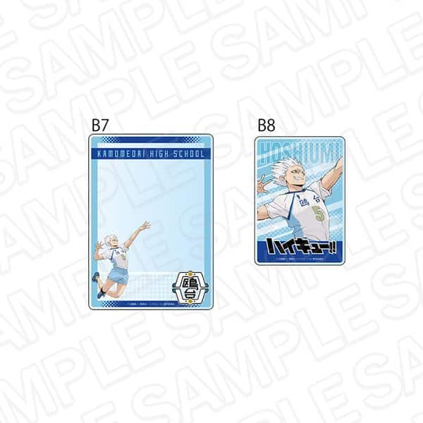 ハイキュー!! 硬質カードケースセット 星海光来 キャラアニで
                                                2025年11月発売