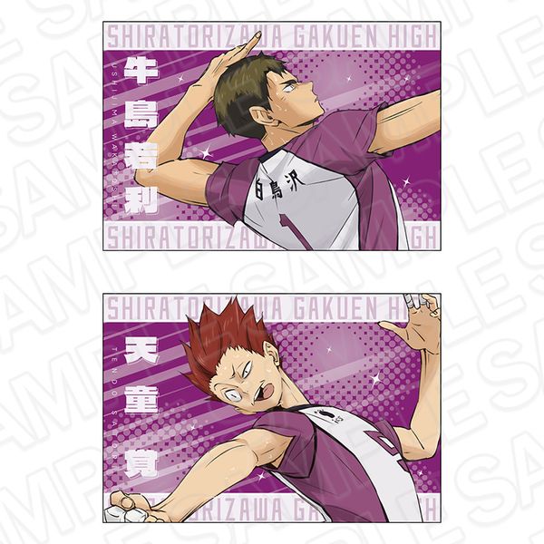 ハイキュー!! ポストカード2枚セット 白鳥沢学園高校 キャラアニで
                                                2025年11月発売