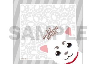 3年Z組銀八先生 ミニタオル 定春 キャラアニで
                                                2025年10月発売