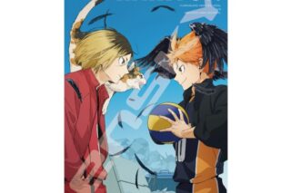 アニメ「ハイキュー!!」 プレミアムフォイルジグソーパズル1000ピース1000T-534
 エンスカイで2025年6月上旬
発売