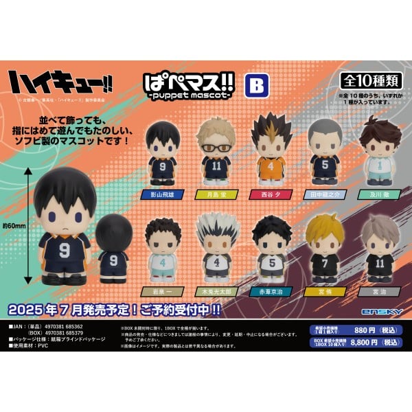 アニメ「ハイキュー!!」 ぱぺマス!! B
 エンスカイで2025年8月下旬
発売