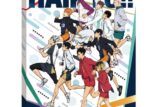 アニメ「ハイキュー!!」 アートボードジグソー366ピースATB-76
 エンスカイで2025年8月下旬
発売
