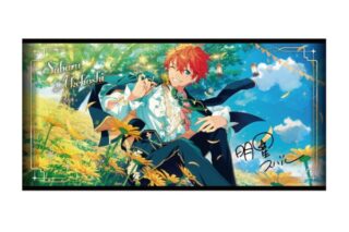 あんさんぶるスターズ!! ビジュアルバスタオルvol.5 /(6)明星 スバル

        
 2025年12月発売 (エンスカイ)