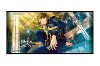 あんさんぶるスターズ!! ビジュアルバスタオルvol.5 /(10)高峯 翠

        
 2025年12月発売 (エンスカイ)
