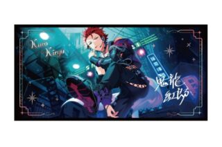 あんさんぶるスターズ!! ビジュアルバスタオルvol.6 /(39)鬼龍 紅郎

        
 2026年1月発売 (エンスカイ)