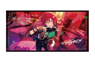 あんさんぶるスターズ!! (あんスタ) ビジュアルバスタオルvol.6 /(47)逆先 夏目

        
 2026年1月発売 (エンスカイ)