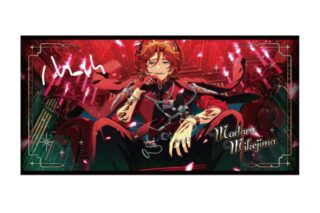 あんさんぶるスターズ!! (あんスタ) ビジュアルバスタオルvol.6 /(50)三毛縞 斑

        
 2026年1月発売 (エンスカイ)