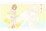 彼女、お借りします (かのかり) 描き下ろしラバーマット(七海麻美/ウエディング水着)
 
2023年07月上旬発売
 アニメイトで取扱中