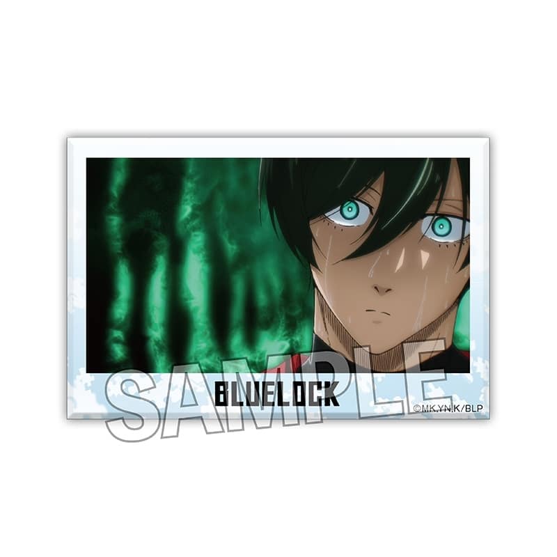 [アニメイト]ブルーロック 積み積みブロック 18
 
2024年04月発売