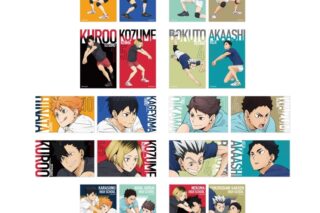 ハイキュー!! トレーディングコレクションカード ～レシーブ～
 アニメイトで
2025年09月下旬発売