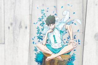 ハイキュー!! 及川徹 アクリルアートスタンド Ver.1.0
 
2024年03月発売