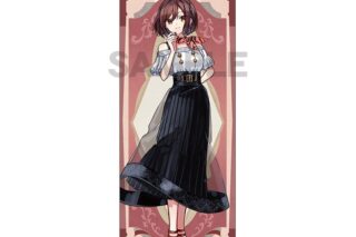 初音ミク 等身大タペストリー MEIKO レトロ☆神戸2025
 
2025年11月発売