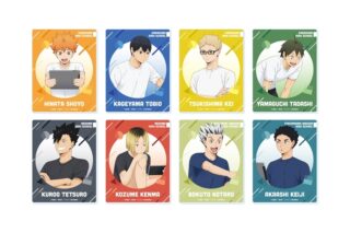 ハイキュー!! 描き下ろしトレーディングアクリルカード 振り返りタイムVer.【全8種】
 アニメイトで
2025年11月27日発売